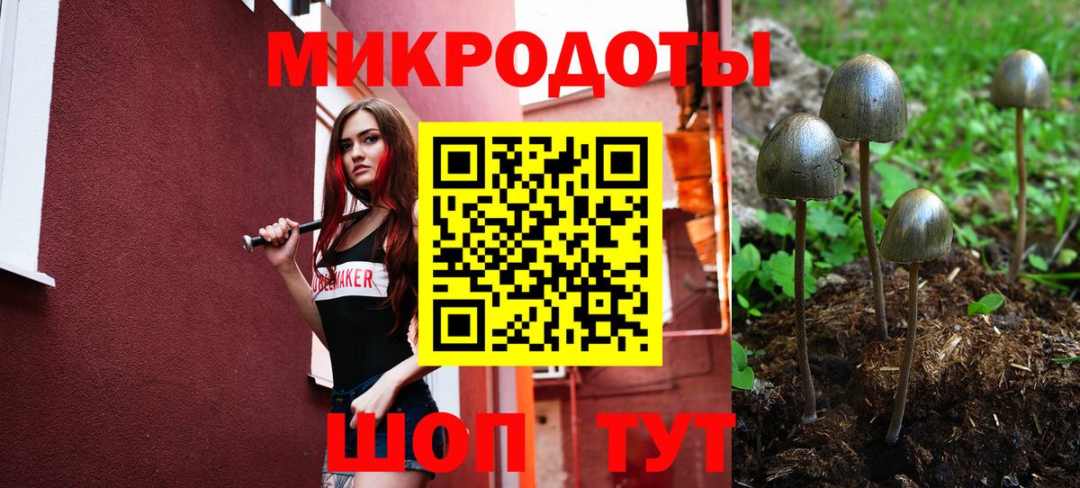 Псилоцибиновые грибы ЛСД Саяногорск