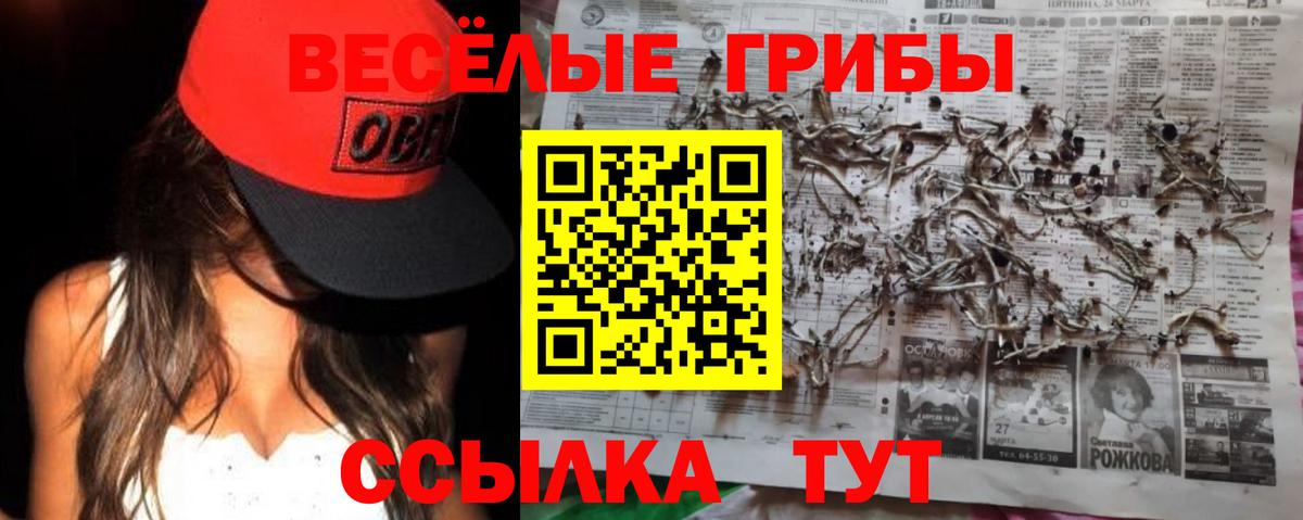 Саяногорск  где продают наркотики  Вход с VPN  Галлюциногенные грибы GOLDEN TEACHER 